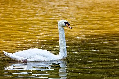 《龙之信条2》幻术师预告  3月22日发售